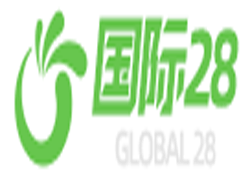 国际28 H5
